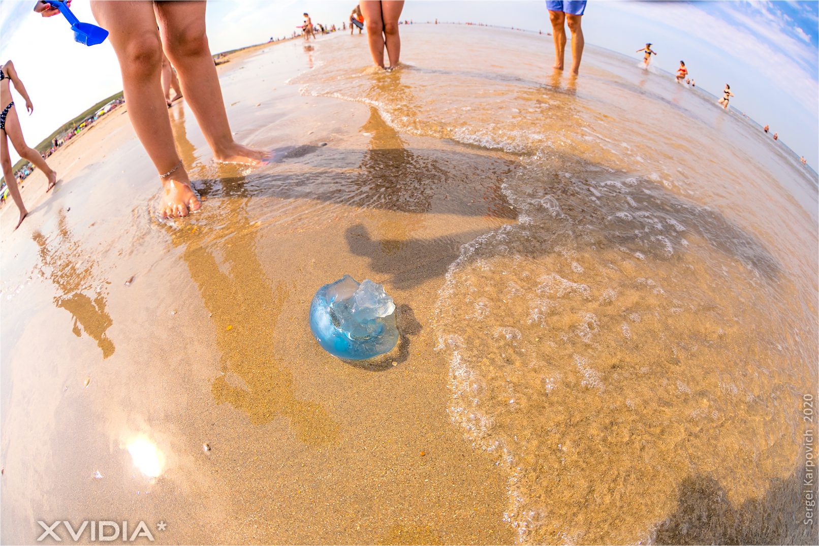 XVIDIA | North Sea | Noordzee I Castricum Aan Zee