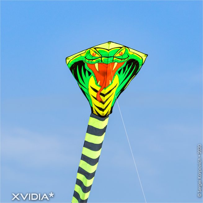 XVIDIA | North Sea | Noordzee I Castricum Aan Zee