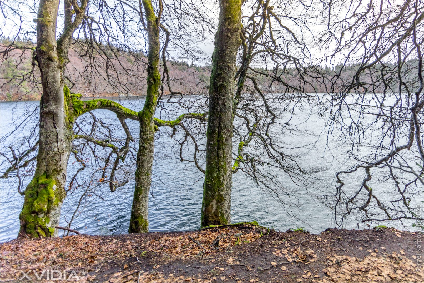 Le Lac Pavin | Le Pont Du Roy | XVIDIA