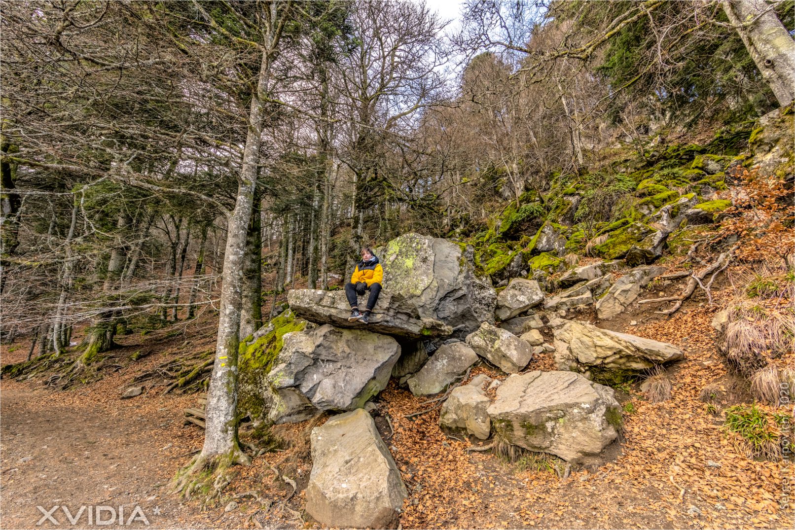 Le Lac Pavin | Le Pont Du Roy | XVIDIA