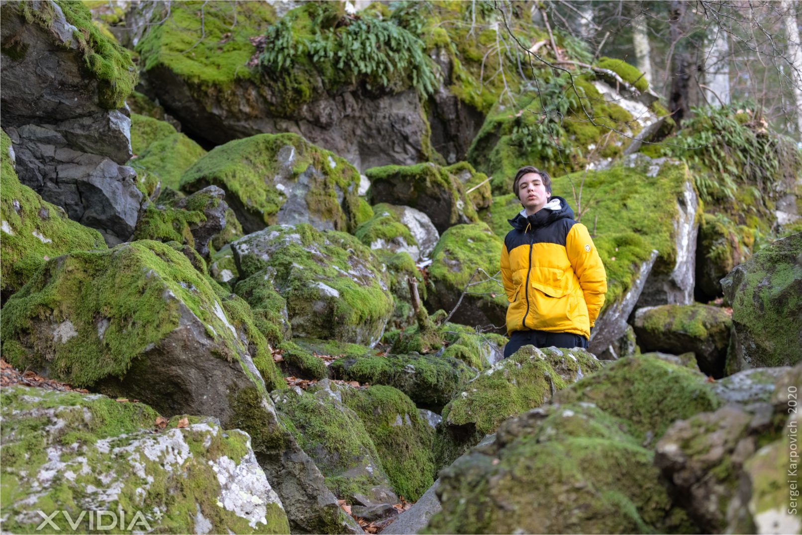 Le Lac Pavin | Le Pont Du Roy | XVIDIA