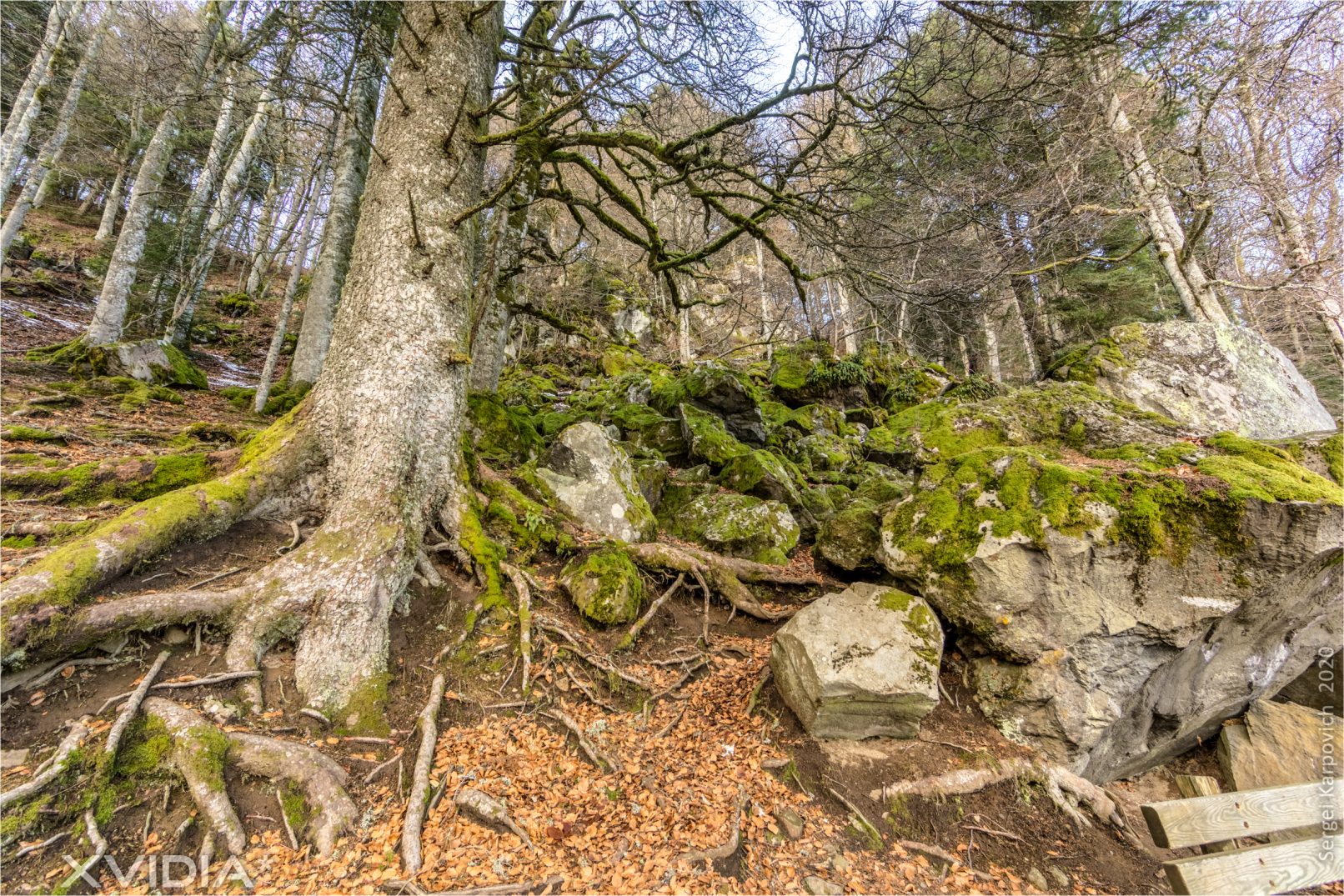 Le Lac Pavin | Le Pont Du Roy | XVIDIA