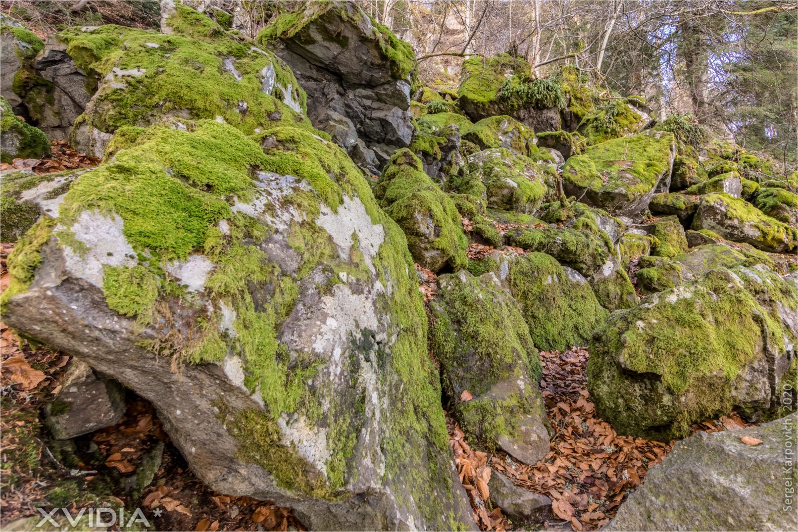Le Lac Pavin | Le Pont Du Roy | XVIDIA