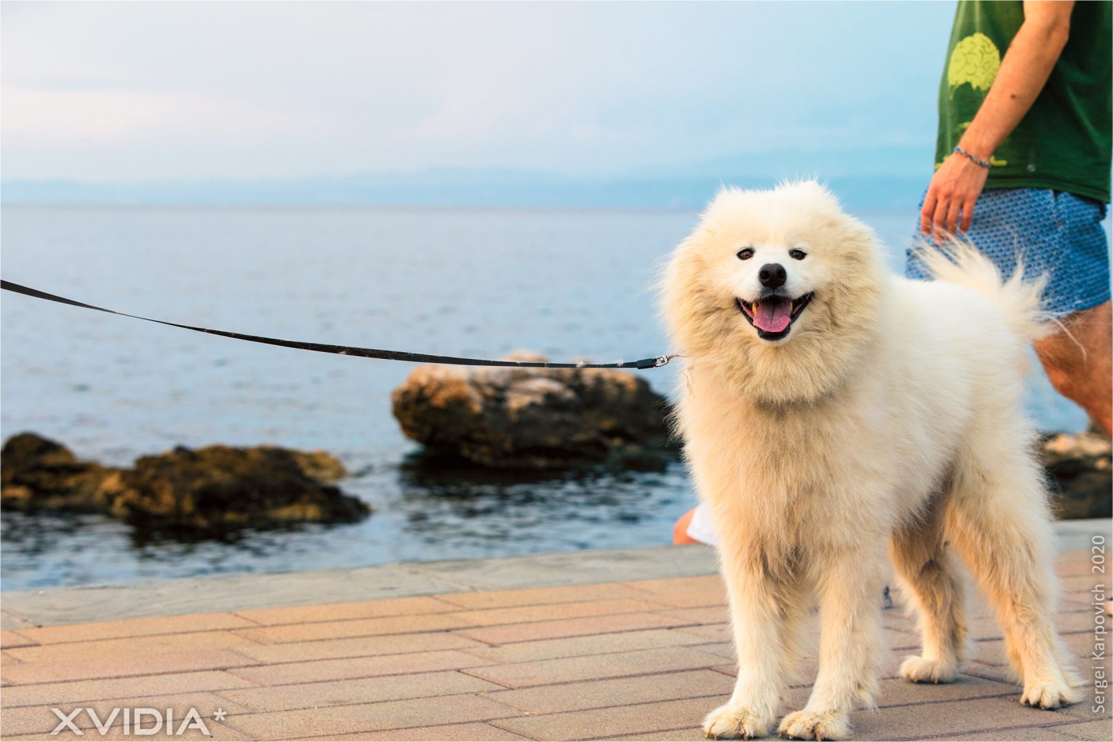 XVIDIA | San Simon Beach | Plaža San Simon | Izola | Slovenia