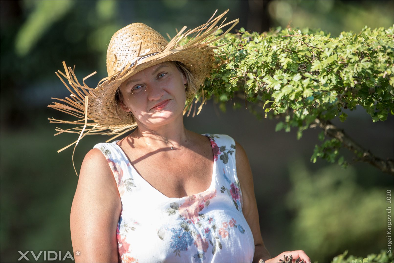 XVIDIA.nl Slovenia Izola